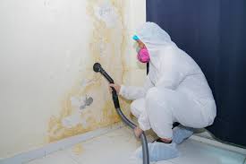 Best Mold Prevention Services  in Rockwell, NC